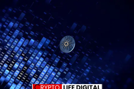 Cardano Gains Momentum with Midnight Airdrop and Grayscale ETF Developments