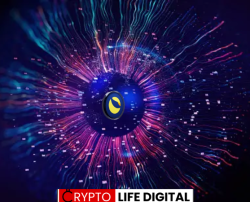 Terraport Weekly Report Highlights Steady Deflationary Progress