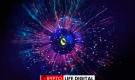 Terraport Weekly Report Highlights Steady Deflationary Progress