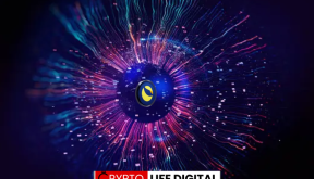 Terraport Weekly Report Highlights Steady Deflationary Progress