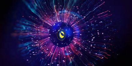 Terraport Weekly Report Highlights Steady Deflationary Progress