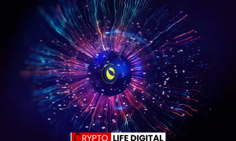 Terraport Weekly Report Highlights Steady Deflationary Progress