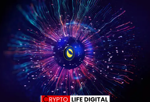 Terraport Weekly Report Highlights Steady Deflationary Progress