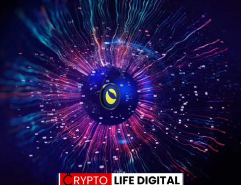 Terraport Weekly Report Highlights Steady Deflationary Progress