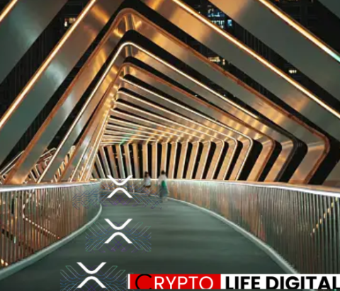 Black Swan Capitalist Co-Founder Urges XRP Holders to Remain Steadfast Amid Calls to Sell