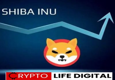 Shiba Inu (SHIB) Gains Momentum and Climbs the Ranks with Major Index Inclusion
