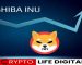 Shiba Inu: Down But Not Out? Analyst Predicts Recovery Despite Market Woes