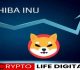 Shiba Inu: Down But Not Out? Analyst Predicts Recovery Despite Market Woes