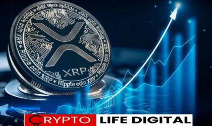 XRP Poised for Bullish Run? Analyst Predicts Surge Based on Support and Legal Resolution