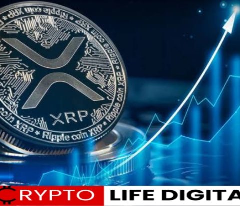 XRP Poised for Bullish Run? Analyst Predicts Surge Based on Support and Legal Resolution