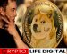 Dogecoin’s Battle with Resistance Levels: Insights and Analysis