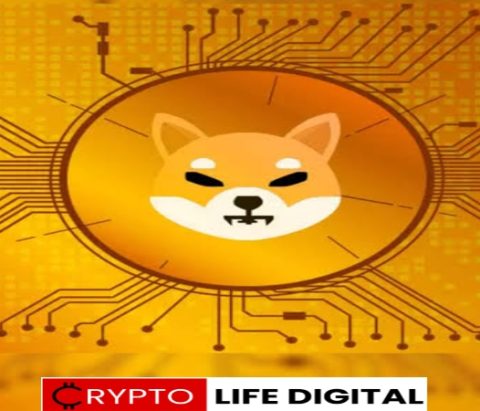 How Reliable is Shiba Inu Official’s Projection of SHIB Coin Reaching $0.01?