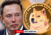 Elon Musk Revives the Dogecoin Moon Narrative