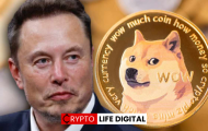 Elon Musk Revives the Dogecoin Moon Narrative