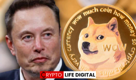 Elon Musk Revives the Dogecoin Moon Narrative