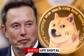 Elon Musk Revives the Dogecoin Moon Narrative