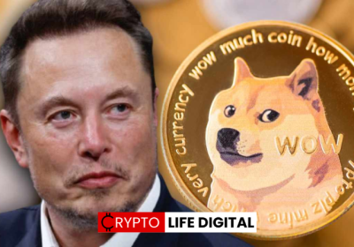 Dogecoin Rises by 29% Amid Reports of Tesla Supporting DOGE Payment