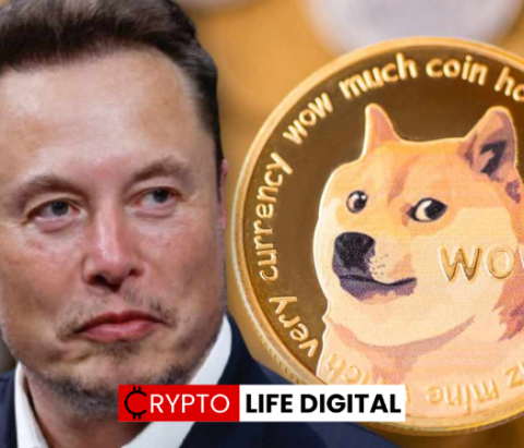 Elon Musk Revives Dogecoin Spirits, Shiba Inu Eyes Top 10 Return