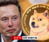 Elon Musk Revives Dogecoin Spirits, Shiba Inu Eyes Top 10 Return