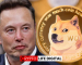 Elon Musk Revives Dogecoin Spirits, Shiba Inu Eyes Top 10 Return