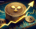 Brace For Impact as SEC Appeal Looms – Will XRP Soar to $0.8 in the Near Future?