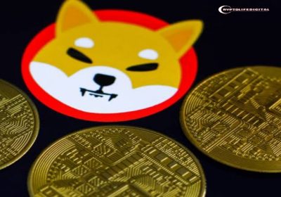 Shiba Inu Team Emphasizes Long-Term Growth Over Quick Short-Term Gains of 30% to 50%