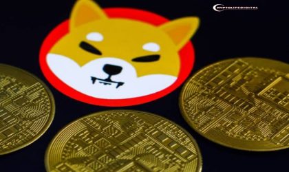 Shiba Inu Team Emphasizes Long-Term Growth Over Quick Short-Term Gains of 30% to 50%