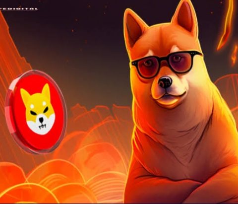 Shiba Inu Magazine’s 25th Edition: A Celebration of SHIB & K9 Excellence