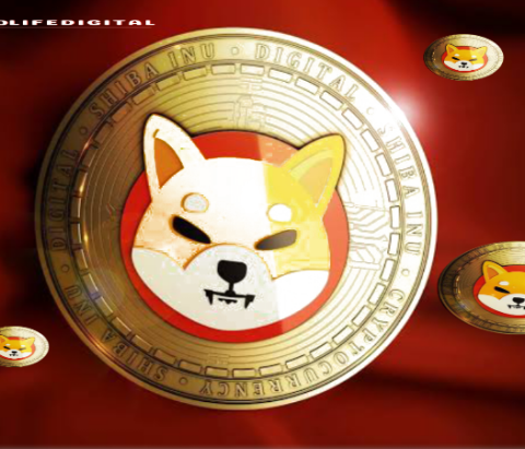 Shiba Inu’s Shibarium Makes Waves with 60% Surge in Key On-Chain Metric