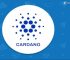 Cardano Under Fire: DDoS Attack Exposes Weaknesses of the Attackers!