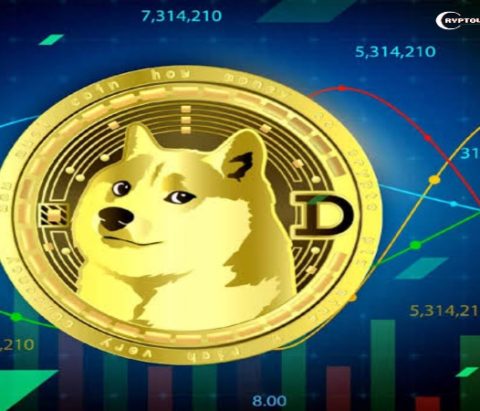 Dogecoin Whale Massive Purchase, Despite Market Turmoil