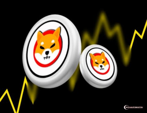 ShibaSwap: Dive into Token Management with New Video Guides