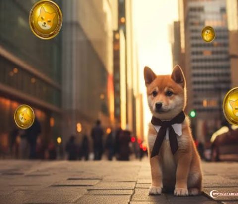 Shiba Inu: From Meme Coin to Crypto Powerhouse