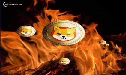 Shiba Inu Burn Rate Has Skyrocketed By An Incredible 300%