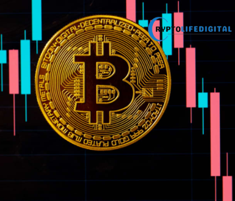 Bitcoin Bull Run Far From Over, Analyst Predicts April 2025 Peak