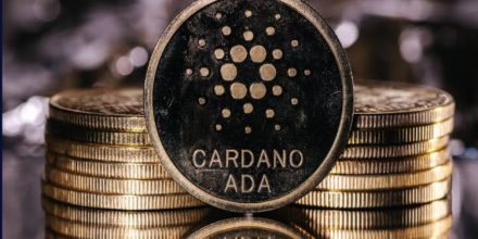 Top Crypto Creator Applauds Cardano Founder’s Conviction