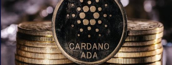 Top Crypto Creator Applauds Cardano Founder’s Conviction