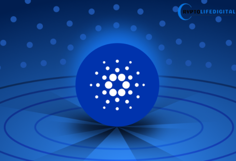 Cardano’s Hydra: A Powerhouse in the Making