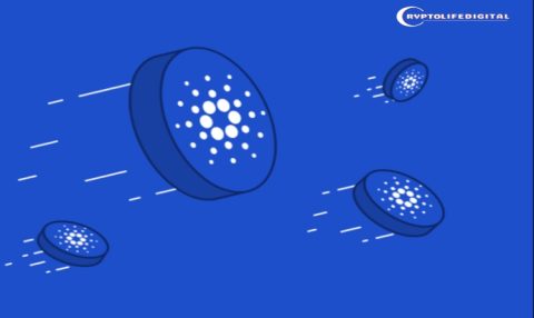 Cardano Launches Its First AI Constitution Examiner