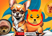 Shiba Inu Ecosystem: A Trio of Tokens, A Rising Star