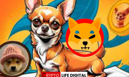 Hump (HUMP): A New Meme Coin Chasing Shiba Inu’s Crown?