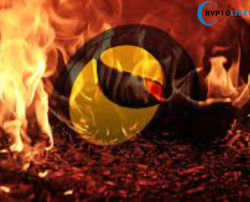 TerraCasino Boosts LUNC Burn: 4.97 Million Tokens Incinerated