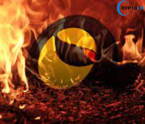 TERRA Burn Rate Accelerates: 98 Million Tokens Incinerated