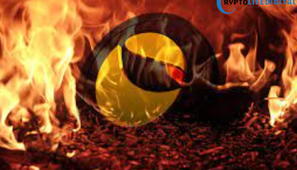 Terra Classic Records Massive 487 Million LUNC Burn as Supply Keeps Shrinking