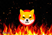 Shiba Inu Network Activity Soars as Burn Rate Jumps Eightfold
