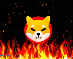 Shib Torch Keeps Burning: Over 911 Million SHIB Destroyed