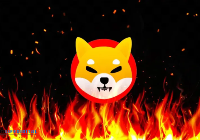 Shiba Inu Burn Rate Soars But Overall Price Dips