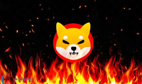 Shiba Inu Burn Activity Signals Persistent Deflationary Pressure