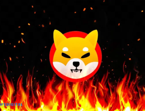 Shiba Inu Network Activity Soars as Burn Rate Jumps Eightfold