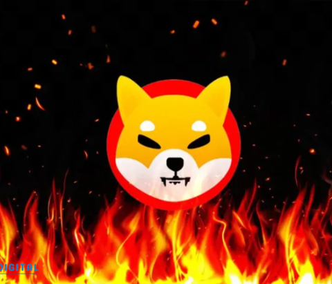 Shiba Inu Burn Rate Soars But Overall Price Dips